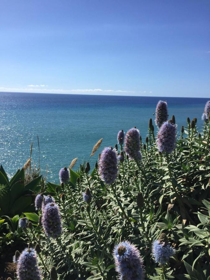 Calheta Ocean View Apartment 2 - Air Condition Estreito Da Calheta Exterior photo